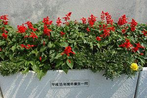 大阪府和泉中央にある子供絵画教室